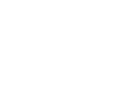 simone bizzotto organic color system